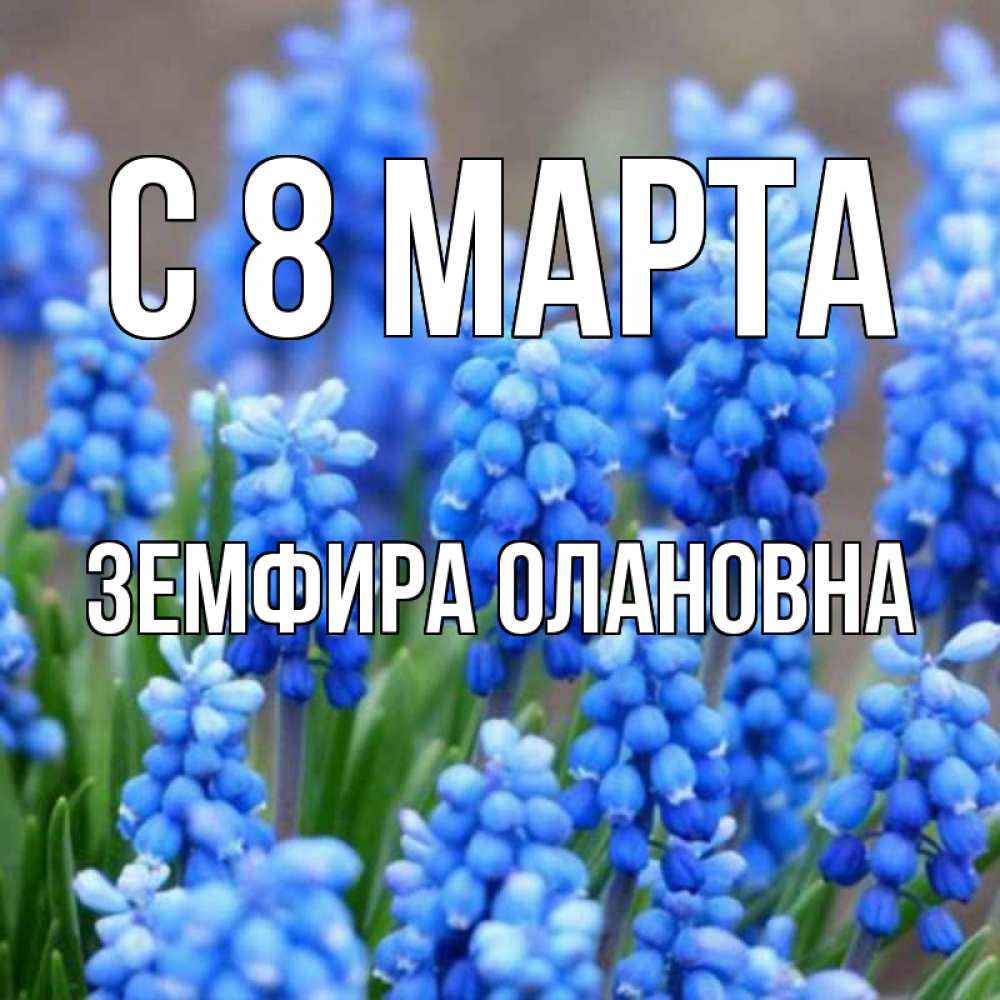 Открытка с именем, Земфира Олановна, С 8 марта