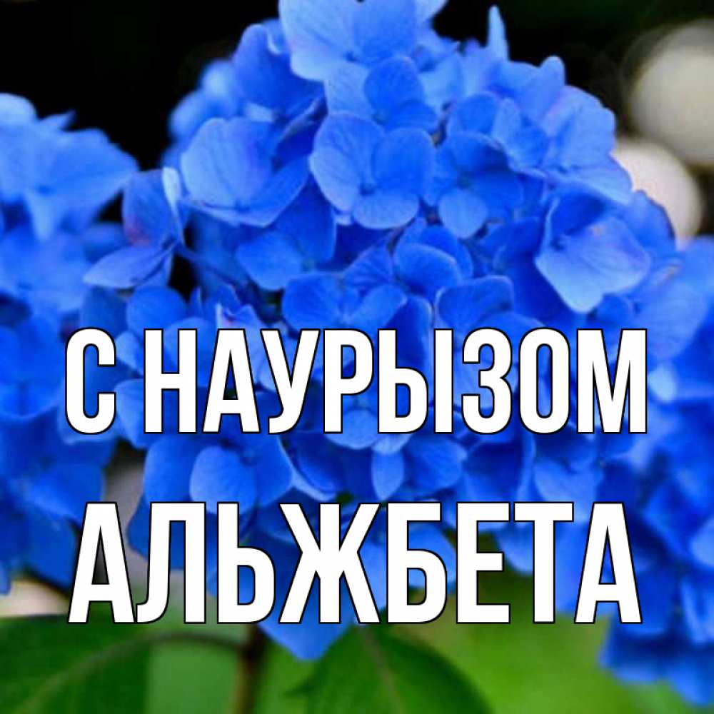 Открытка на каждый день с именем, Альжбета С наурызом синие цветы Прикольная открытка с пожеланием онлайн скачать бесплатно 
