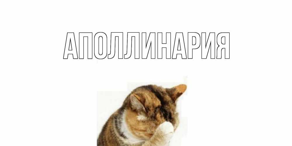 Открытка на каждый день с именем, Аполлинария Главная кот Прикольная открытка с пожеланием онлайн скачать бесплатно 