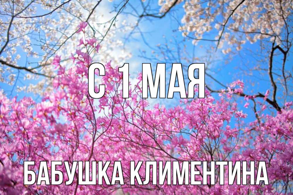 Открытка на каждый день с именем, Бабушка-Климентина С 1 мая С 1 мая Прикольная открытка с пожеланием онлайн скачать бесплатно 