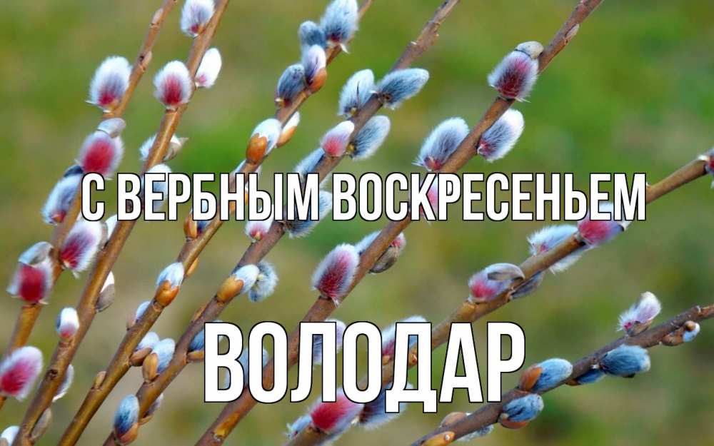 Открытка на каждый день с именем, Володар С вербным воскресеньем верба Прикольная открытка с пожеланием онлайн скачать бесплатно 
