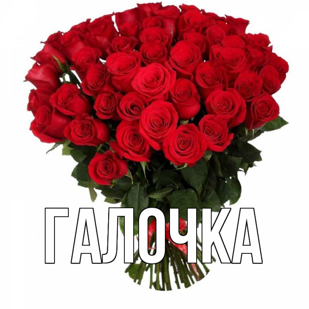 Открытка на каждый день с именем, Галочка Главная цветы на 8 марта 1 Прикольная открытка с пожеланием онлайн скачать бесплатно 