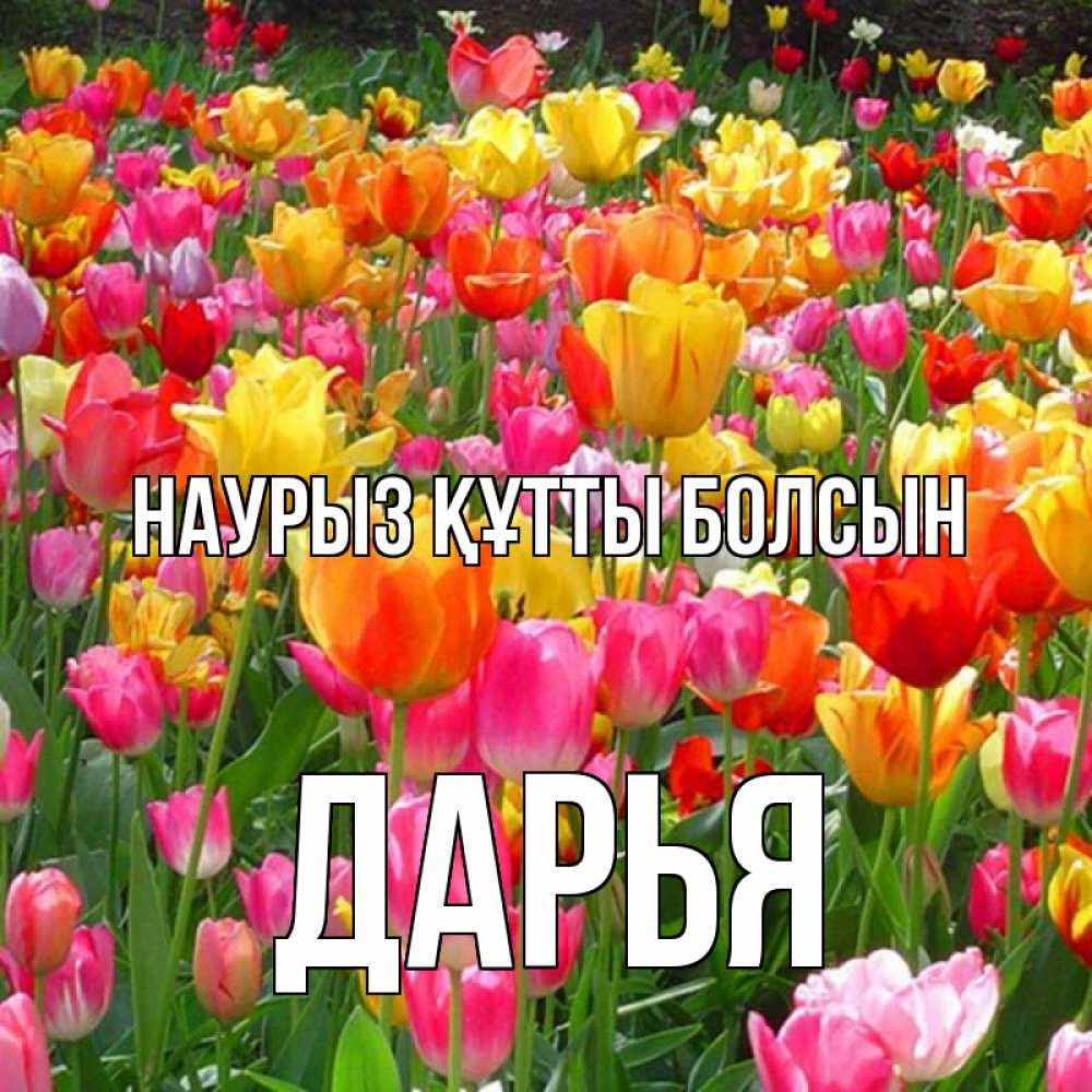 Открытка на каждый день с именем, Дарья Наурыз құтты болсын на наурыз  ура ура Прикольная открытка с пожеланием онлайн скачать бесплатно 