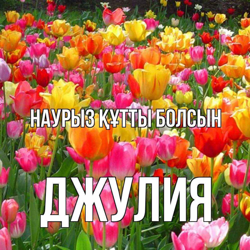 Открытка на каждый день с именем, Джулия Наурыз құтты болсын на наурыз  ура ура Прикольная открытка с пожеланием онлайн скачать бесплатно 