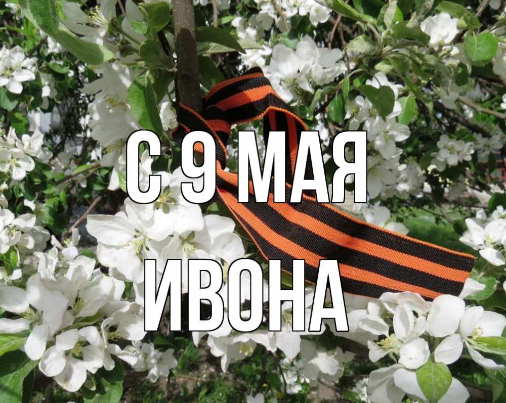 Открытка на каждый день с именем, Ивона С 9 мая 9 мая Прикольная открытка с пожеланием онлайн скачать бесплатно 