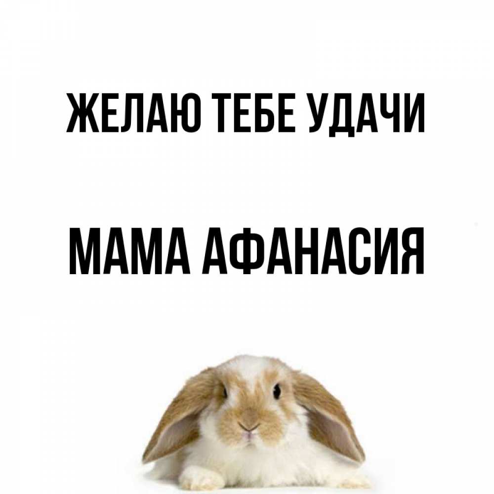 Открытка на каждый день с именем, Мама-Афанасия Желаю тебе удачи открытки с произвольным текстом который можно вставить в открытку и создать ее самостоятельно бесплатно онлайн Прикольная открытка с пожеланием онлайн скачать бесплатно 