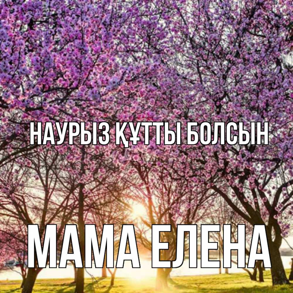 Открытка на каждый день с именем, Мама-Елена Наурыз құтты болсын наурыз Прикольная открытка с пожеланием онлайн скачать бесплатно 