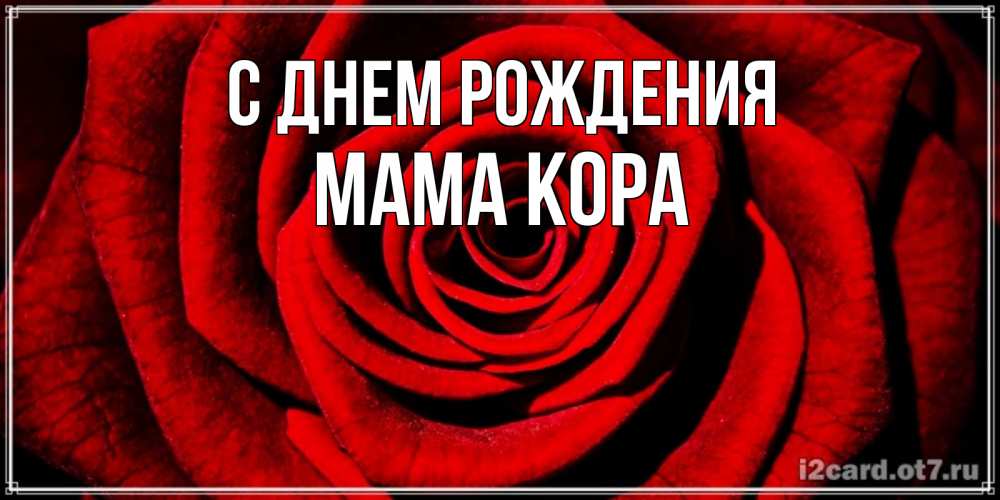 Открытка на каждый день с именем, Мама-Кора С днем рождения алая роза Прикольная открытка с пожеланием онлайн скачать бесплатно 