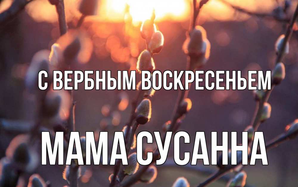 Открытка на каждый день с именем, Мама-Сусанна С вербным воскресеньем верба Прикольная открытка с пожеланием онлайн скачать бесплатно 