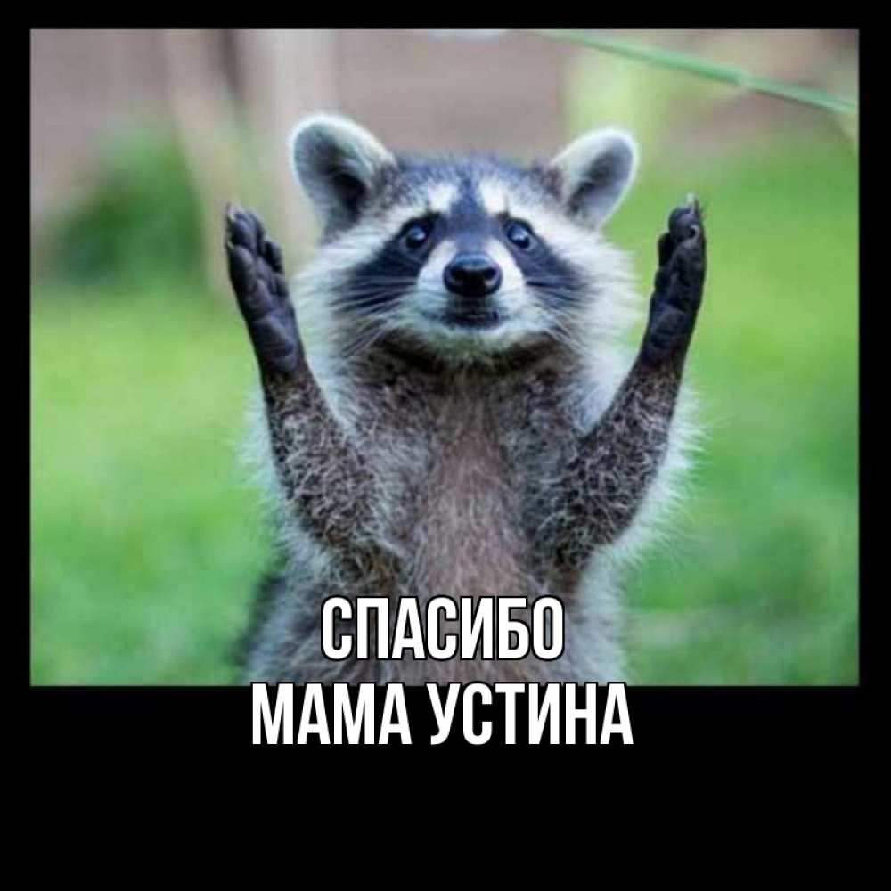 Открытка на каждый день с именем, Мама-Устина Спасибо милые животные Прикольная открытка с пожеланием онлайн скачать бесплатно 