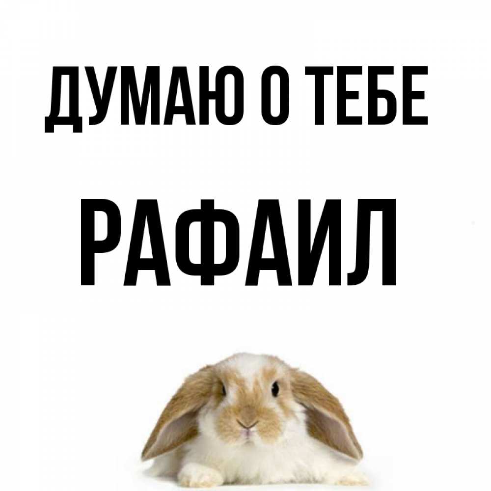 Открытка на каждый день с именем, Рафаил Думаю о тебе подписать своими руками онлайн Прикольная открытка с пожеланием онлайн скачать бесплатно 