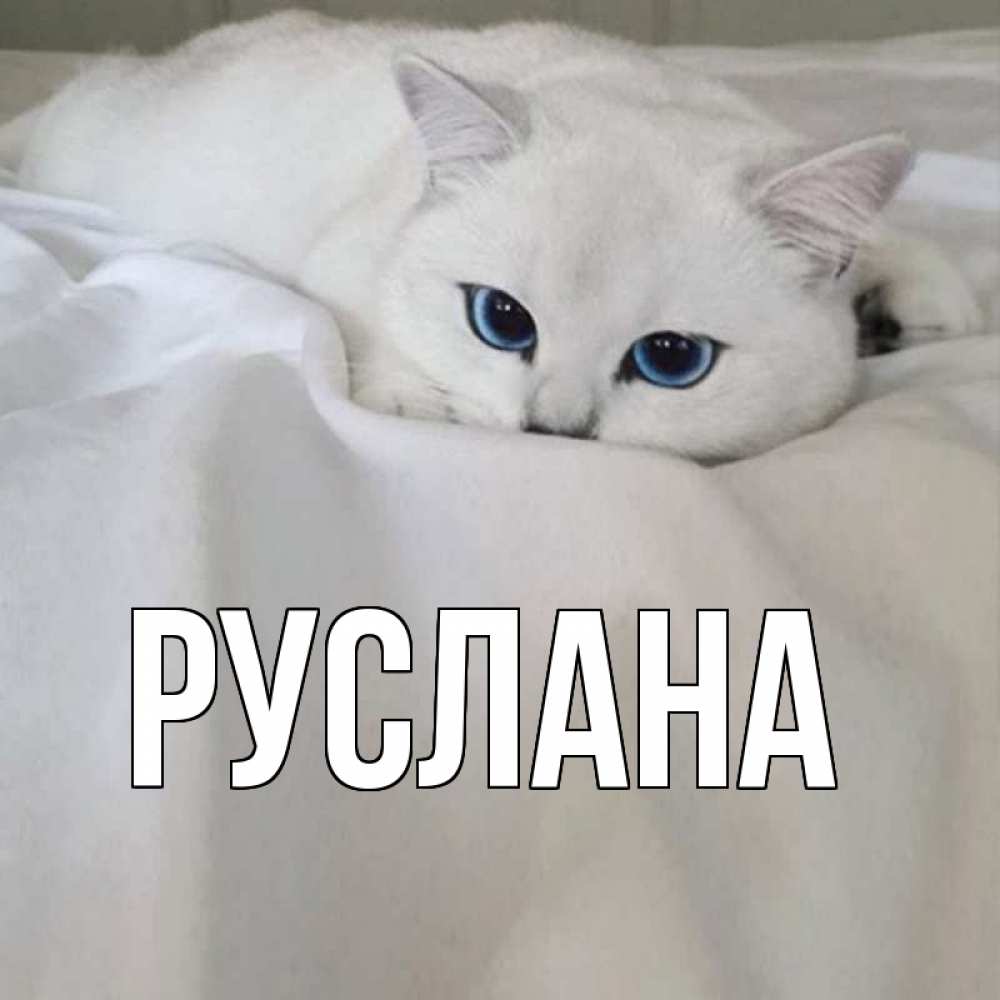 Открытка на каждый день с именем, Руслана Главная я очень по тебе скучаю и тоскую Прикольная открытка с пожеланием онлайн скачать бесплатно 