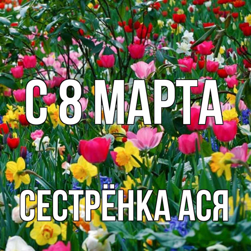 Открытка на каждый день с именем, Сестрёнка-Ася С 8 МАРТА с международным женским днем поздравления для женщины Прикольная открытка с пожеланием онлайн скачать бесплатно 