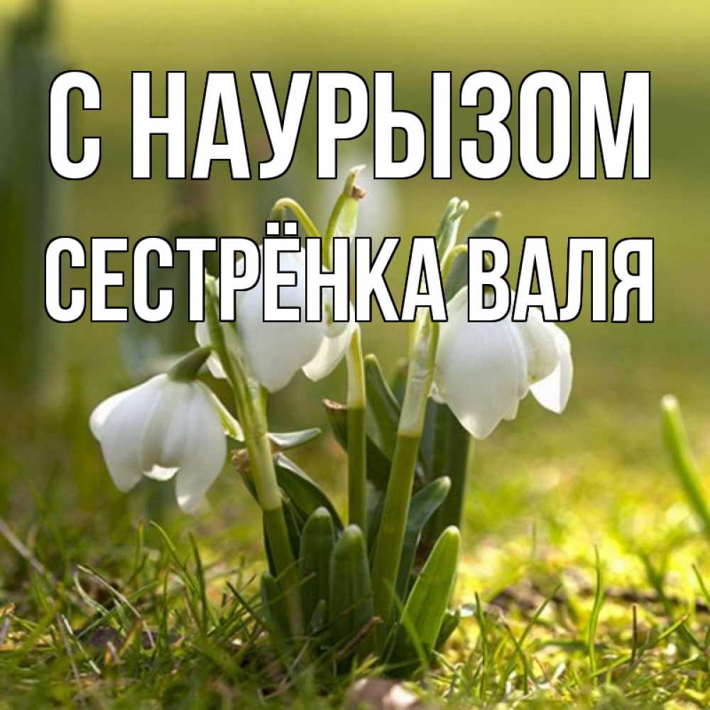 Открытка на каждый день с именем, Сестрёнка-Валя С наурызом ранние цветы 2 Прикольная открытка с пожеланием онлайн скачать бесплатно 