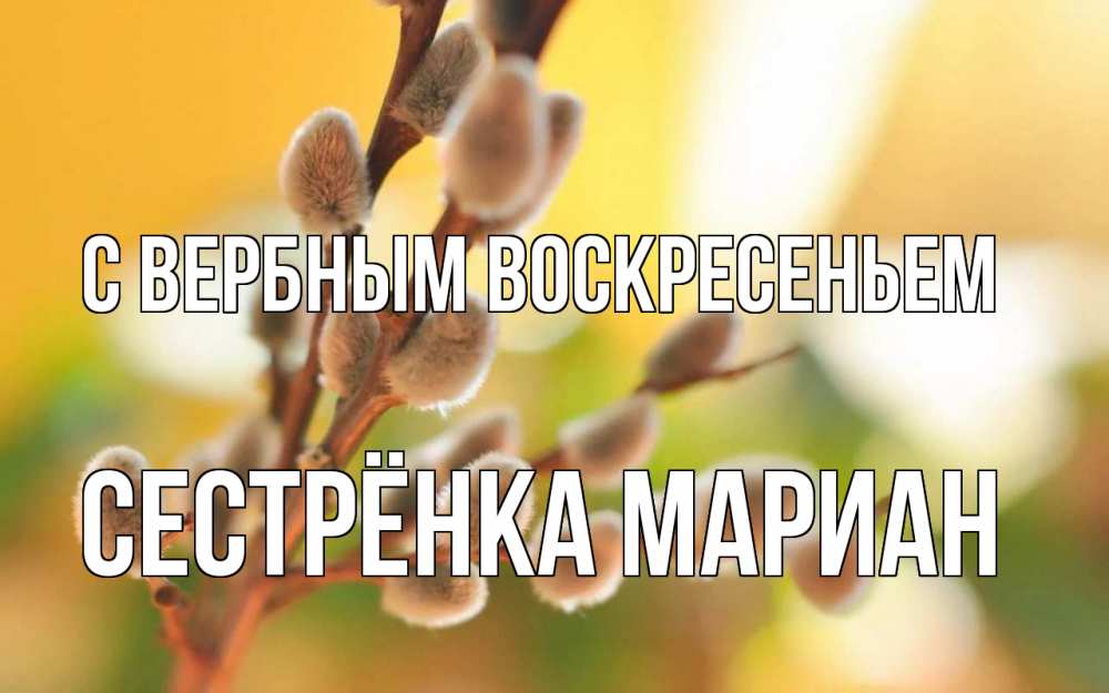 Открытка на каждый день с именем, Сестрёнка-Мариан С вербным воскресеньем верба Прикольная открытка с пожеланием онлайн скачать бесплатно 
