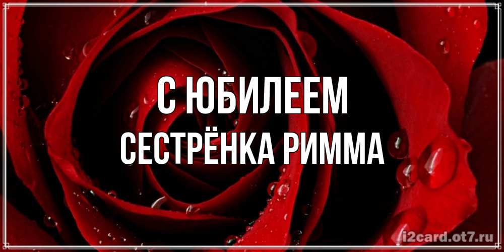 Открытка на каждый день с именем, Сестрёнка-Римма С юбилеем крупная бордовая роза Прикольная открытка с пожеланием онлайн скачать бесплатно 