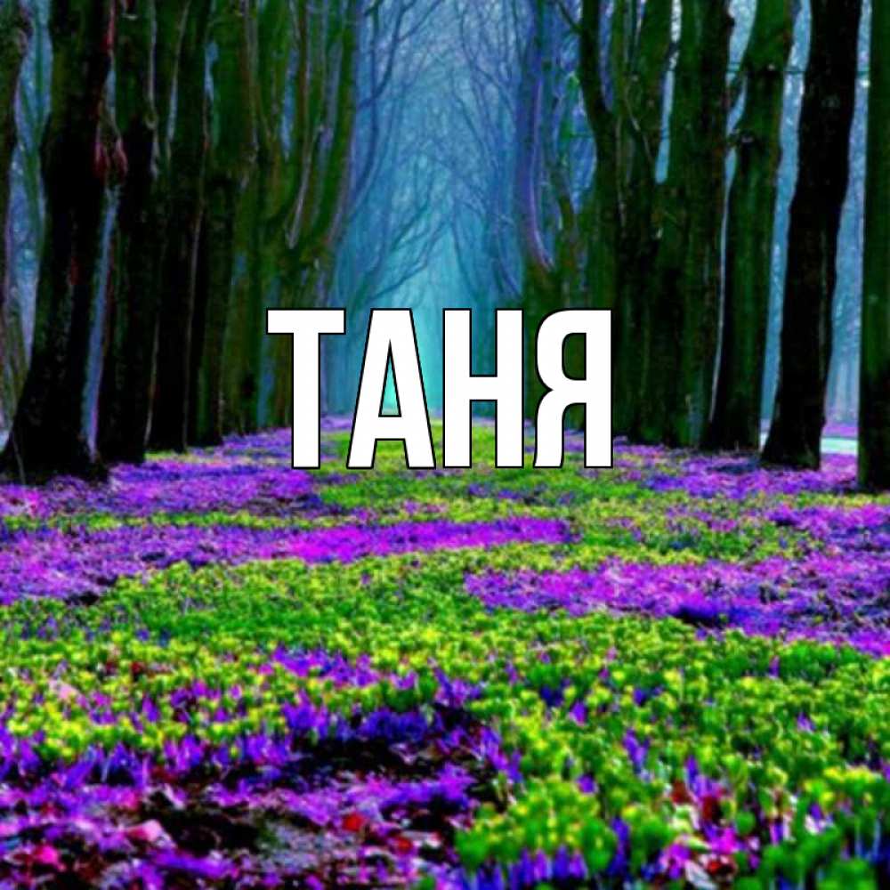 Открытка на каждый день с именем, Таня Главная фиолетовые цветы в лесу 1 Прикольная открытка с пожеланием онлайн скачать бесплатно 