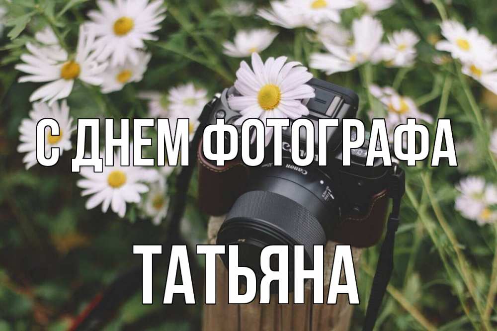 Открытка на каждый день с именем, Татьяна С днем фотографа с днем фотографа Прикольная открытка с пожеланием онлайн скачать бесплатно 