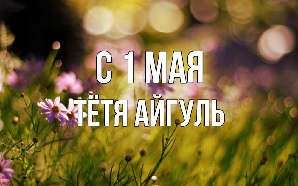 Открытка на каждый день с именем, Тётя-Айгуль С 1 мая С 1 мая Прикольная открытка с пожеланием онлайн скачать бесплатно 
