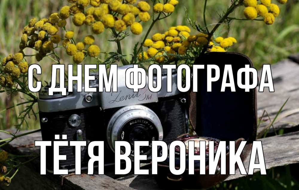 Открытка на каждый день с именем, Тётя-Вероника С днем фотографа с днем фотографа Прикольная открытка с пожеланием онлайн скачать бесплатно 