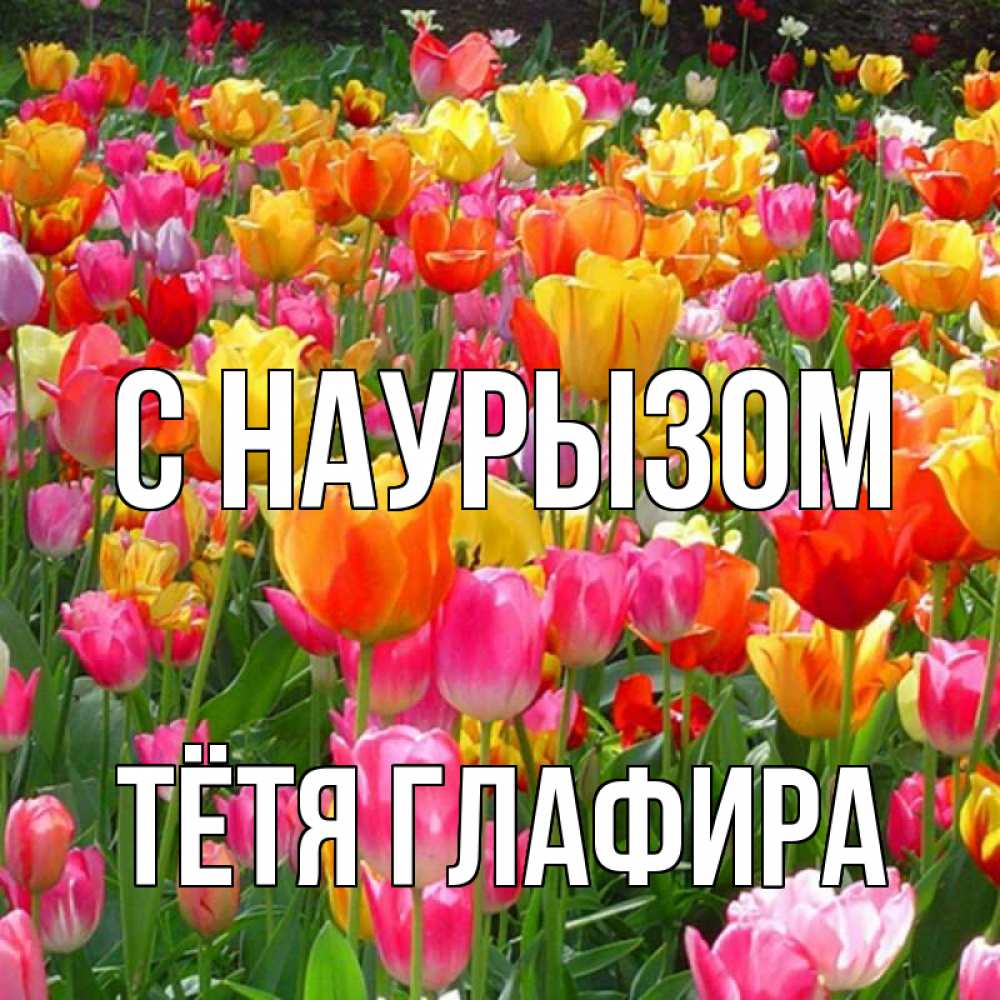 Открытка на каждый день с именем, Тётя-Глафира С наурызом праздник весны наурыз 4 Прикольная открытка с пожеланием онлайн скачать бесплатно 