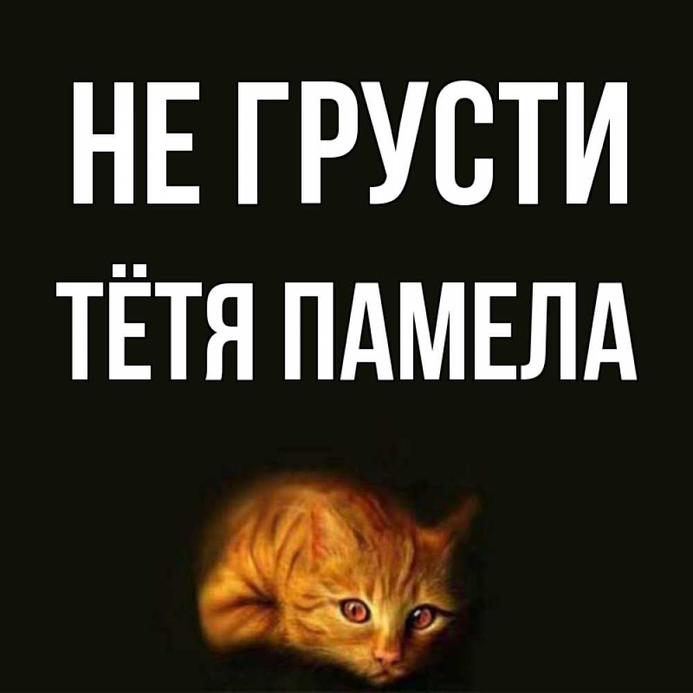 Открытка на каждый день с именем, Тётя-Памела Не грусти лежащий кот в темноте Прикольная открытка с пожеланием онлайн скачать бесплатно 