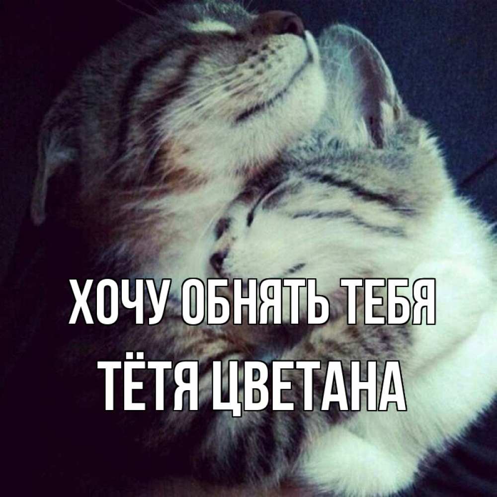 Открытка на каждый день с именем, Тётя-Цветана Хочу обнять тебя полосатики Прикольная открытка с пожеланием онлайн скачать бесплатно 