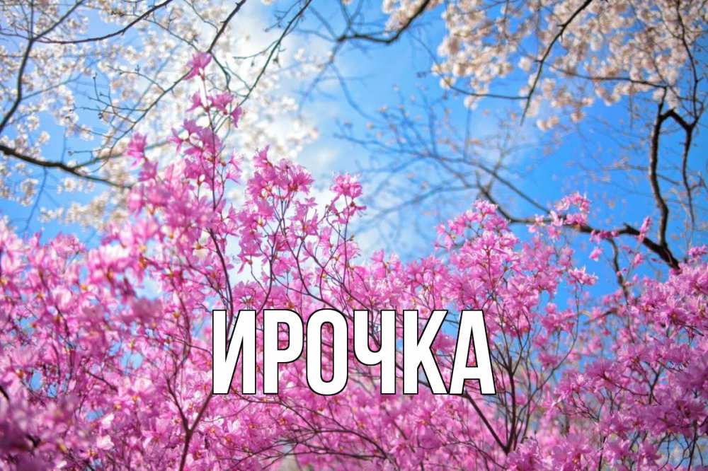 Открытка на каждый день с именем, ирочка Главная С 1 мая Прикольная открытка с пожеланием онлайн скачать бесплатно 