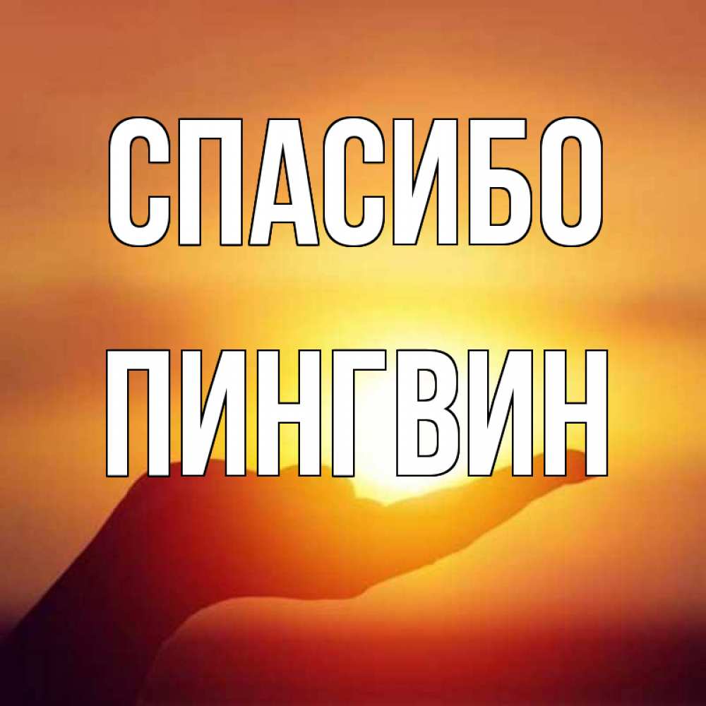 Открытка на каждый день с именем, пингвин Спасибо закат Прикольная открытка с пожеланием онлайн скачать бесплатно 