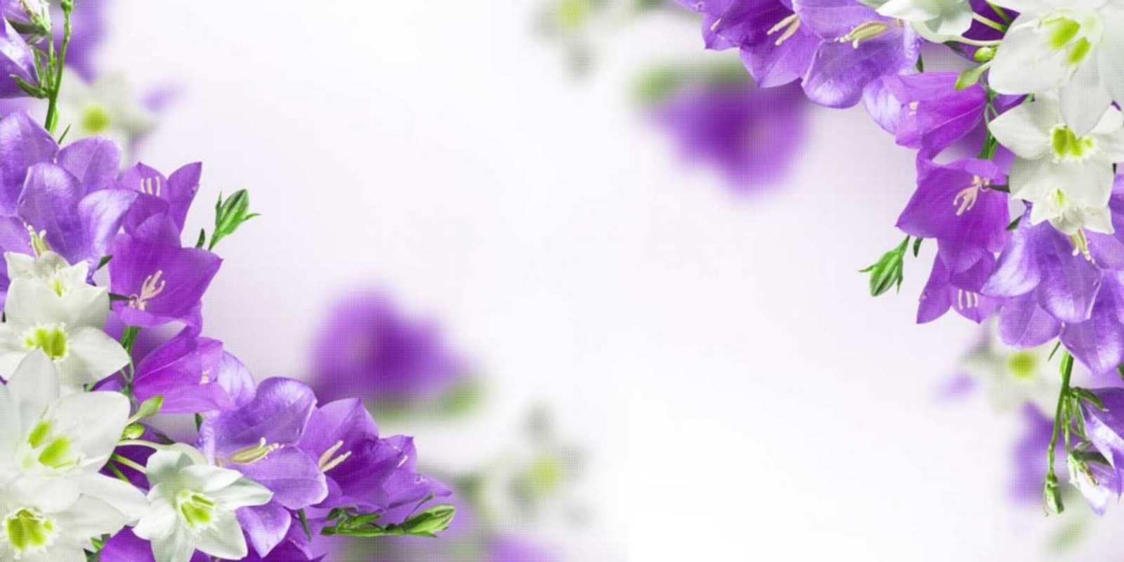 Открытка весенние цветы на открытке для родных и близких открытка на день рождения с сиреневыми цветами С юбилеем 