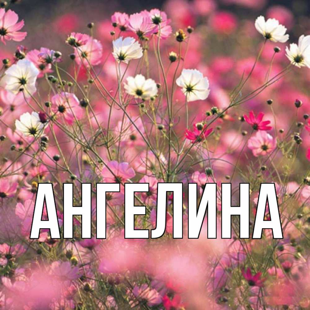 Ангелина с днем рождения картинки красивые с пожеланиями для девочки