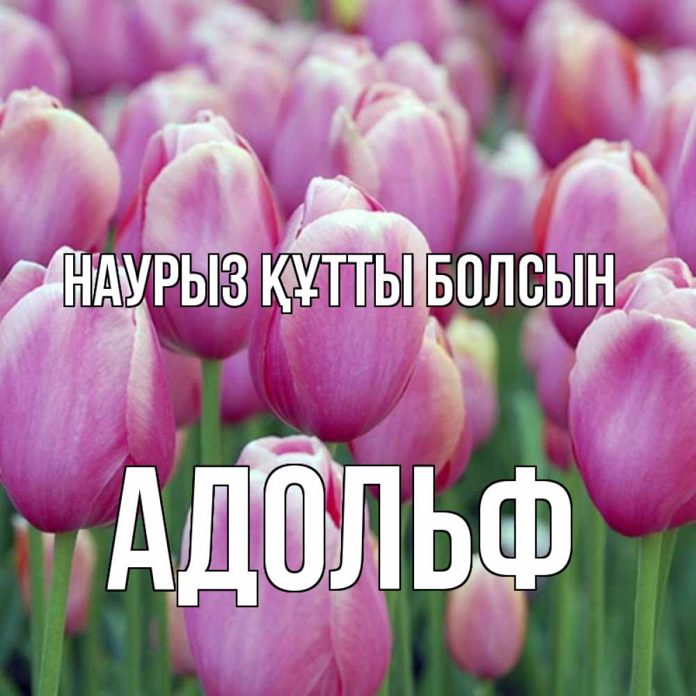 Открытка на каждый день с именем, Адольф Наурыз құтты болсын на наурыз  день 3 Прикольная открытка с пожеланием онлайн скачать бесплатно 