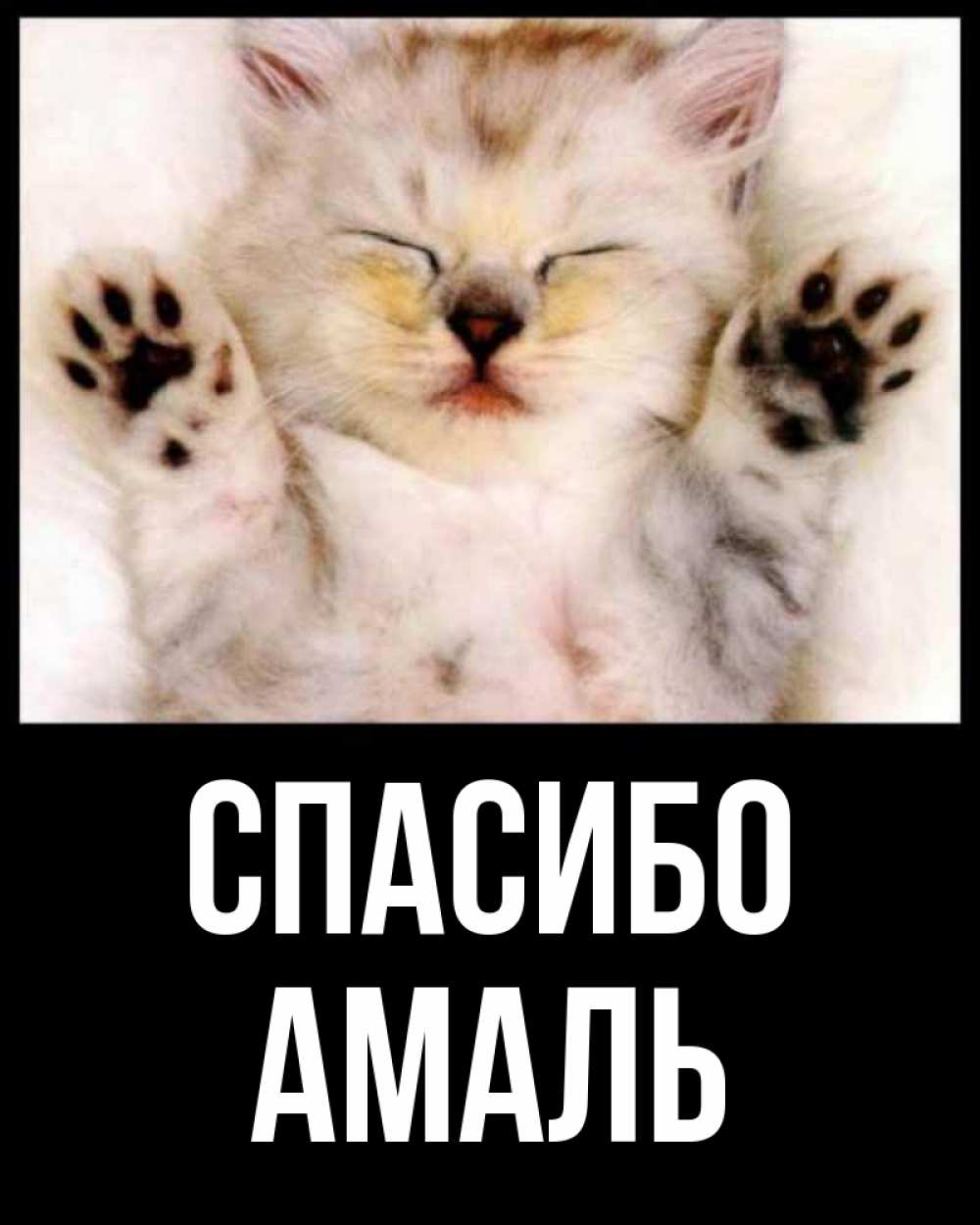 Открытка на каждый день с именем, Амаль Спасибо маленький котенок Прикольная открытка с пожеланием онлайн скачать бесплатно 
