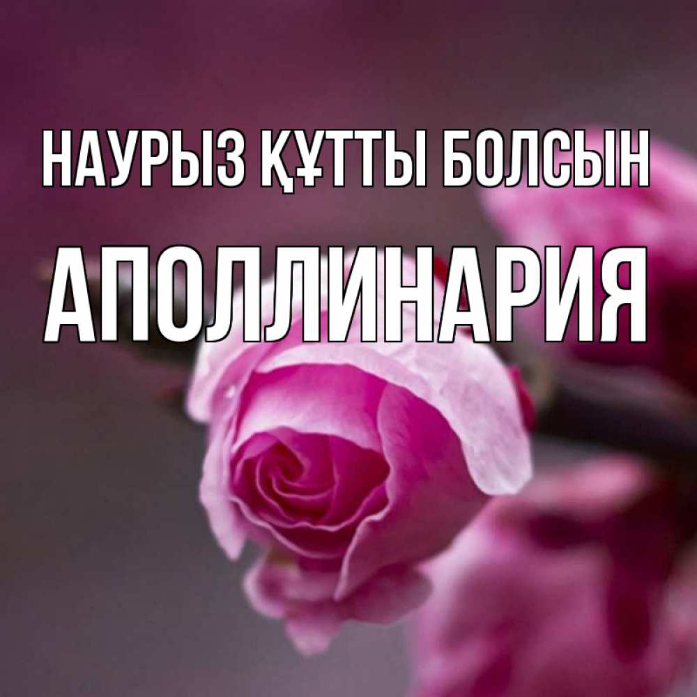 Открытка на каждый день с именем, Аполлинария Наурыз құтты болсын весна Прикольная открытка с пожеланием онлайн скачать бесплатно 