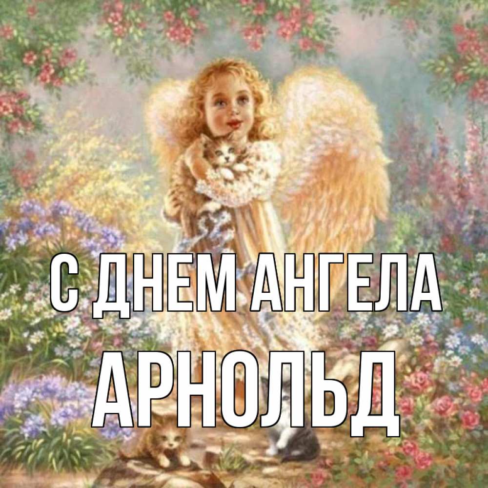 Открытка на каждый день с именем, Арнольд С днем ангела держит котенка Прикольная открытка с пожеланием онлайн скачать бесплатно 