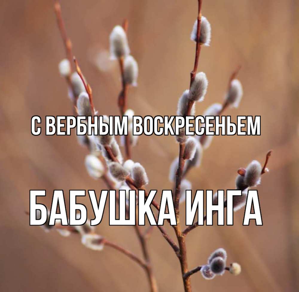 Открытка на каждый день с именем, Бабушка-Инга С вербным воскресеньем верба Прикольная открытка с пожеланием онлайн скачать бесплатно 