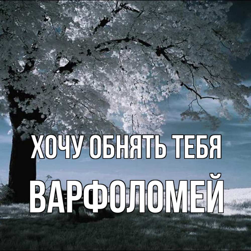 Открытка на каждый день с именем, Варфоломей Хочу обнять тебя дерево Прикольная открытка с пожеланием онлайн скачать бесплатно 