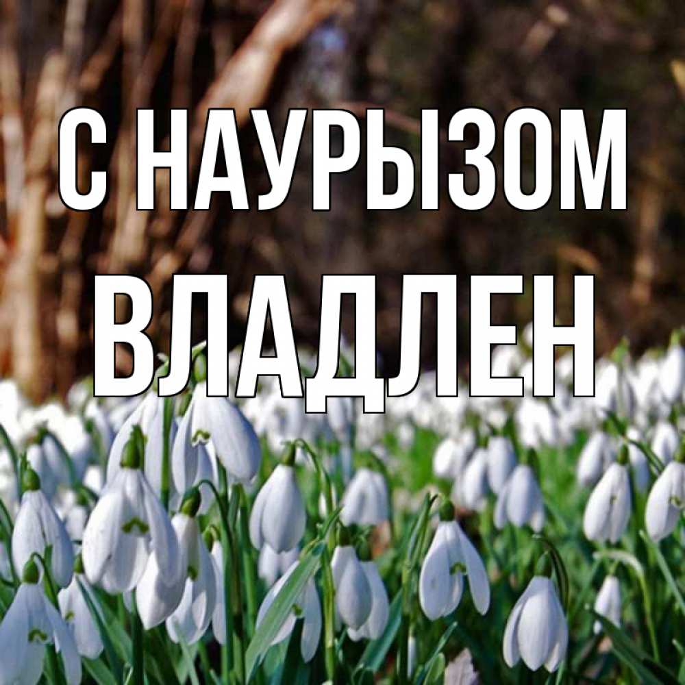 Открытка на каждый день с именем, Владлен С наурызом с подснежниками 1 Прикольная открытка с пожеланием онлайн скачать бесплатно 