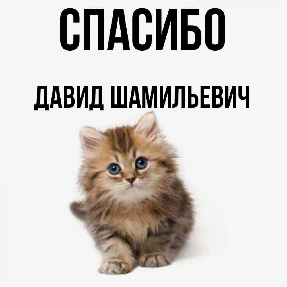 Спасибо Мария