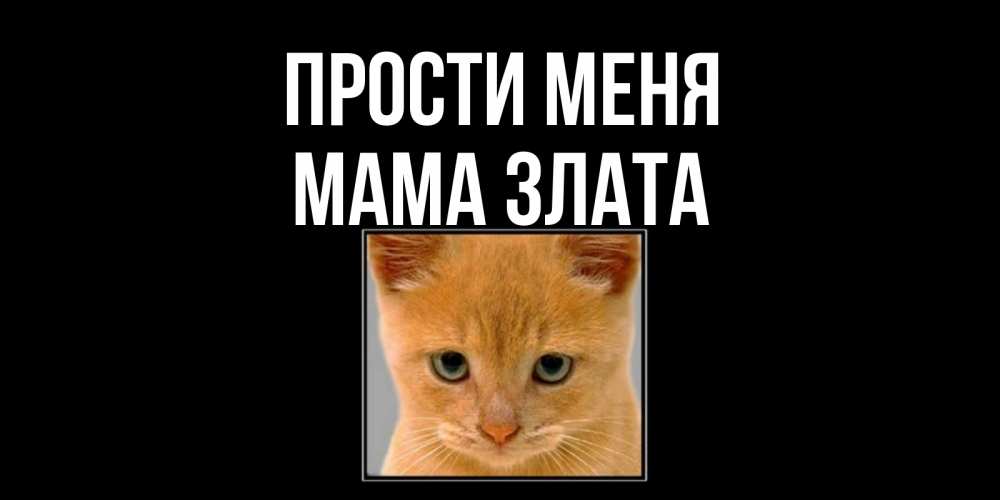 Открытка на каждый день с именем, Мама-Злата Прости меня рыжий грустный кот просит прощения Прикольная открытка с пожеланием онлайн скачать бесплатно 