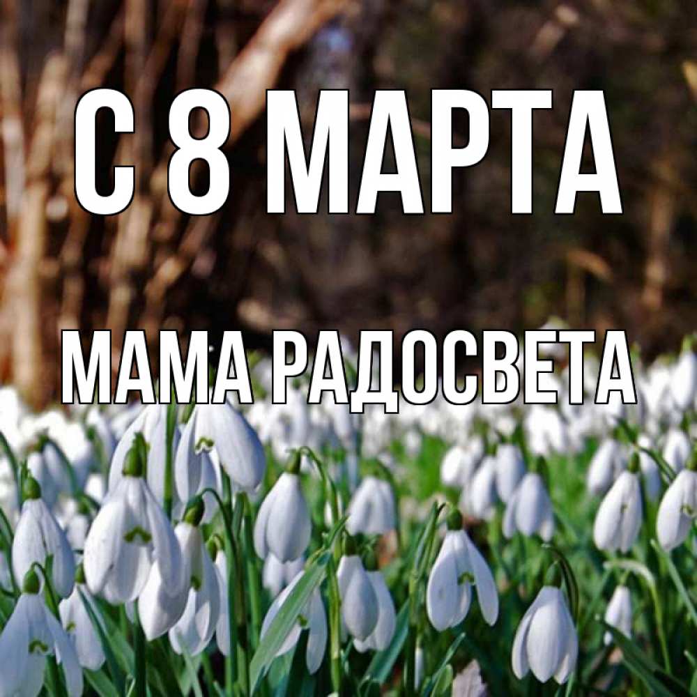Открытка на каждый день с именем, Мама-Радосвета С 8 марта с подснежниками 1 Прикольная открытка с пожеланием онлайн скачать бесплатно 