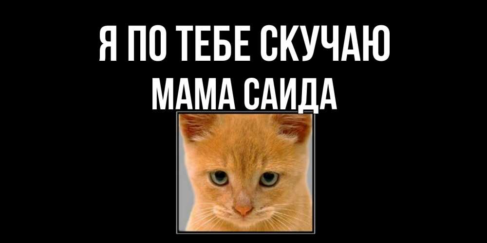 Открытка на каждый день с именем, Мама-Саида Я по тебе скучаю открытки рыжий котенок скучает по тебе Прикольная открытка с пожеланием онлайн скачать бесплатно 