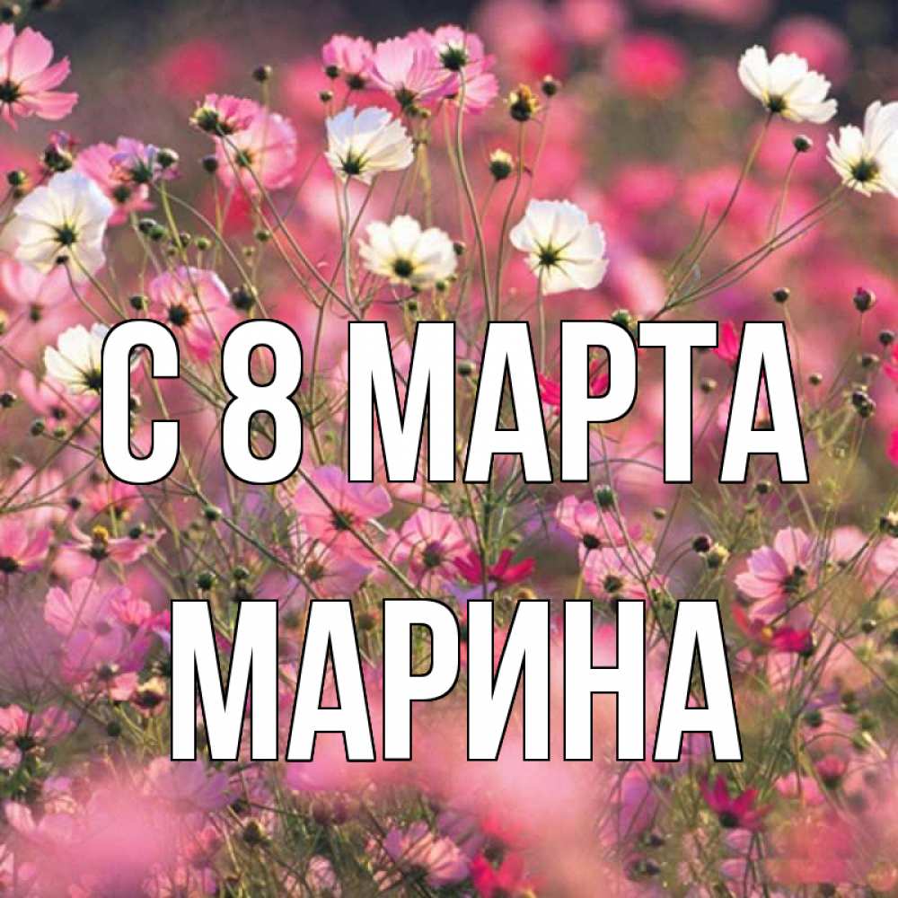 Открытка на каждый день с именем, Марина С 8 МАРТА красиво 1 Прикольная открытка с пожеланием онлайн скачать бесплатно 