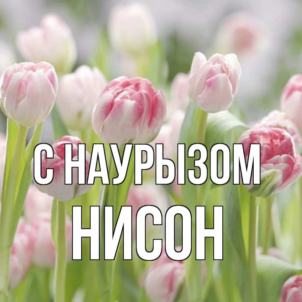 Открытка на каждый день с именем, Нисон С наурызом цветы Прикольная открытка с пожеланием онлайн скачать бесплатно 