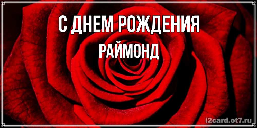 Открытка на каждый день с именем, Раймонд С днем рождения алая роза Прикольная открытка с пожеланием онлайн скачать бесплатно 