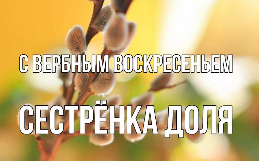 Открытка на каждый день с именем, Сестрёнка-Доля С вербным воскресеньем верба Прикольная открытка с пожеланием онлайн скачать бесплатно 