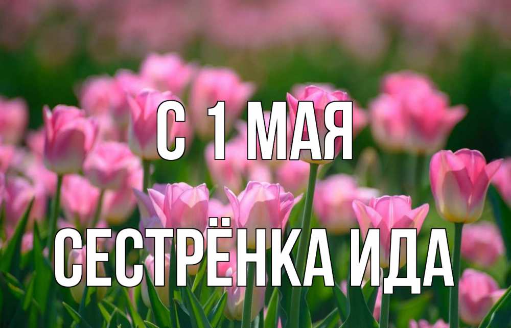 Открытка на каждый день с именем, Сестрёнка-Ида С 1 мая С 1 мая Прикольная открытка с пожеланием онлайн скачать бесплатно 