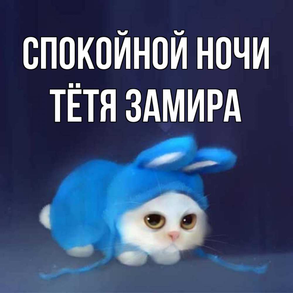 Открытка на каждый день с именем, Тётя-Замира Спокойной ночи кот в голубом костюме кролика с ушками Прикольная открытка с пожеланием онлайн скачать бесплатно 