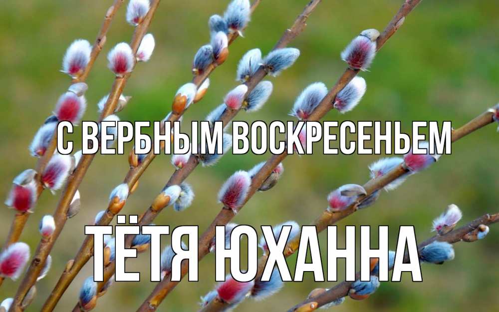 Открытка на каждый день с именем, Тётя-Юханна С вербным воскресеньем верба Прикольная открытка с пожеланием онлайн скачать бесплатно 