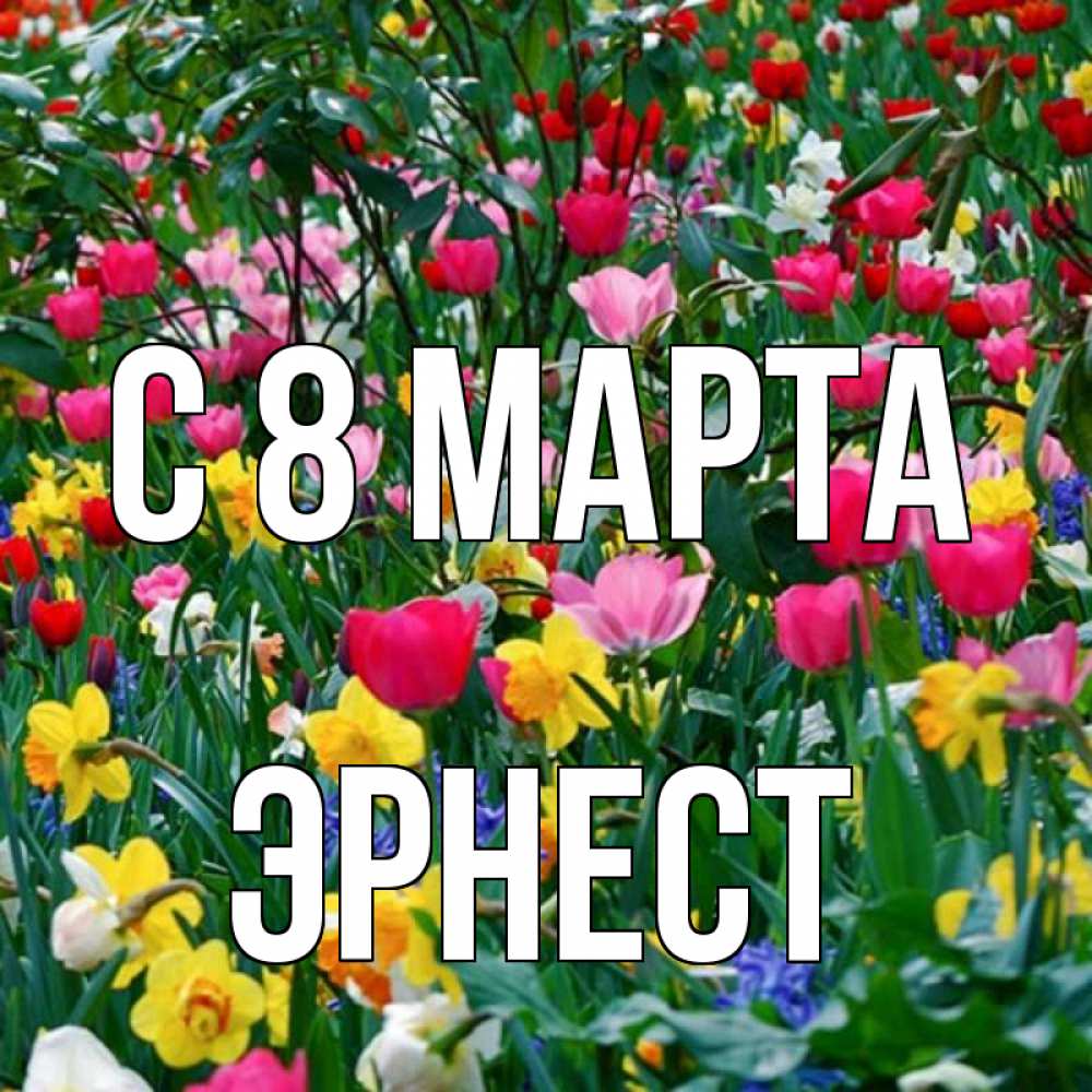 Открытка на каждый день с именем, Эрнест С 8 МАРТА с международным женским днем поздравления для женщины Прикольная открытка с пожеланием онлайн скачать бесплатно 